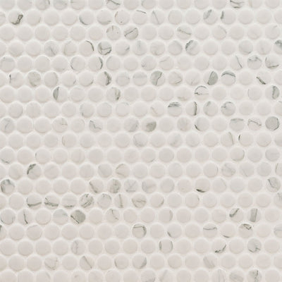 Domino Matte Carrara, Penny Round Mosaic | Porcelain Tile by MSI 