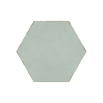 Spring Time Aqua, Hexagon Porcelain Tile | CECSPRTAQUAHEX | IWT